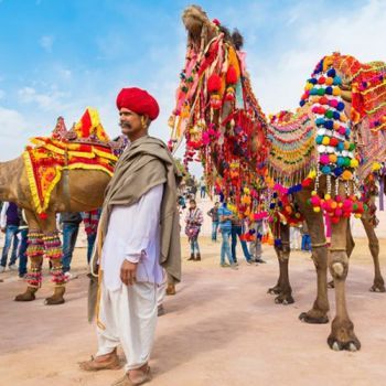 Things to Know Before Visiting India