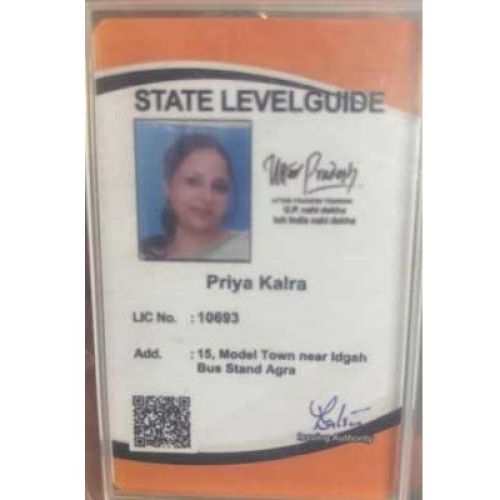 Guide license