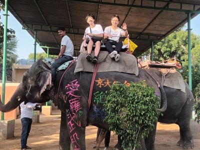 Visit India With Tour Guide