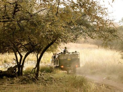 North India Wildlife Safari