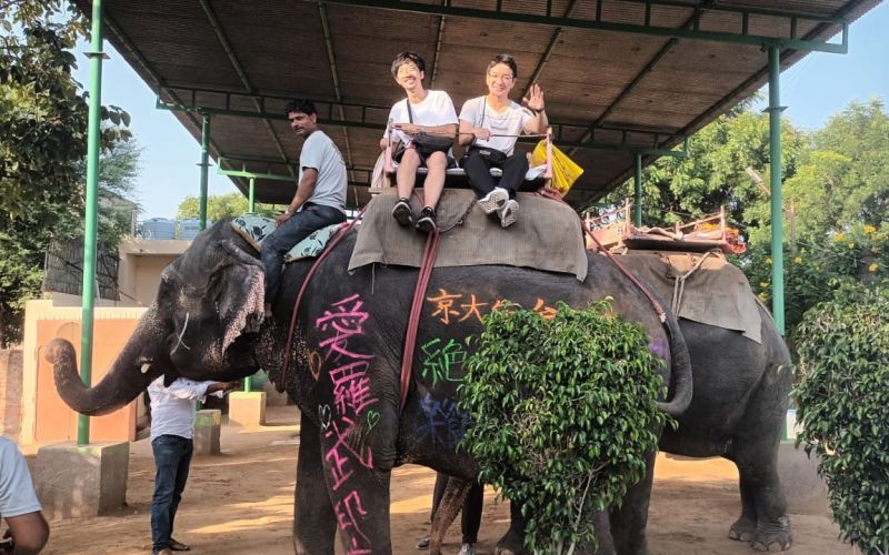 69031ed9d272f-visit-india-with-guide